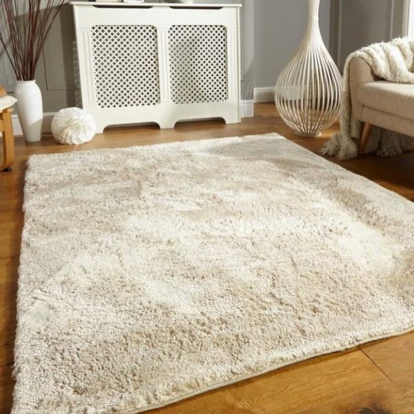 home and office rug